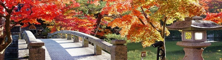Kyoto, Bali