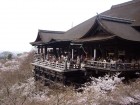 Kyoto
