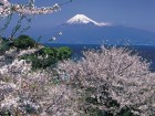 Mt.Fuji & Hakone 1 Day Tour with Lunch (return by Motorcoach)