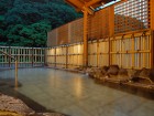 Hakone Pax Yoshino