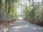 Ise Jingu Shrine & Traditional Pearl Driver 1-Day Tour