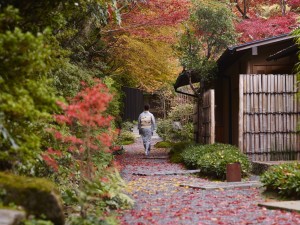 Hoshinoya Kyoto - Garden