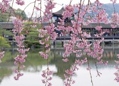 No 2. Japan Seasonal Escapes 8 days