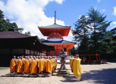 Japan World Heritage 14 Days