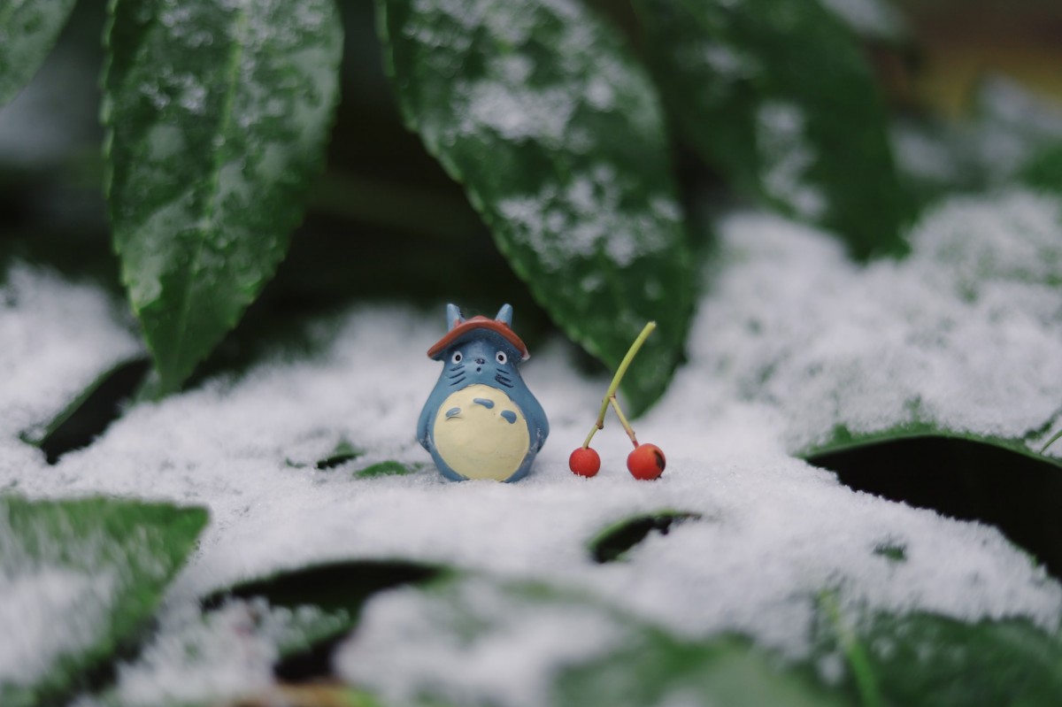 Ghibli Museum & GhibliFilm Appreciation Bus Tour