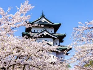 2023 Cherry Blossoms of Northern Japan 9 Day Small Group Tour