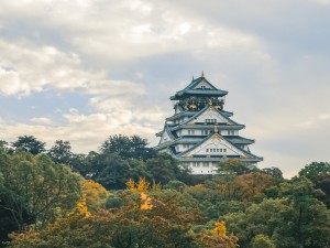 Osaka 1 Day Walking Tour