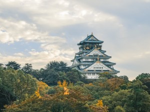 Osaka 1 Day Walking Tour