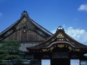 Kyoto & Nara 1 Day Tour