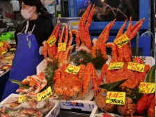 Tuna Auction & Tokyo's Fish Market Tour