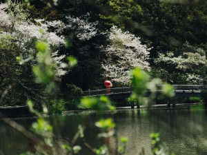 Yokohama Walk