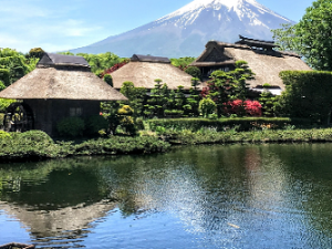 Spectacular Mt. Fuji 1-Day Tour