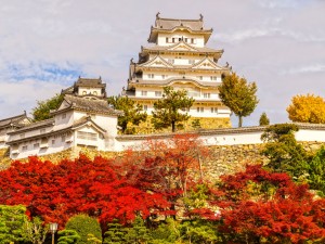 Kansai Your Way: Kyoto, Nara & Osaka in 7 Days
