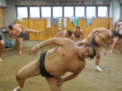 Tokyo Sumo Morning Practice Tour