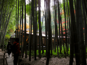 Zen Garden and Tea Ceremony