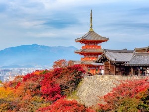 14 Day Treasures of Japan