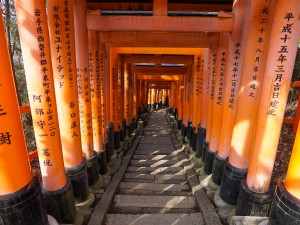 Fushimi Inari Hidden Hiking Tour