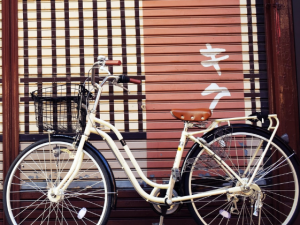 Real Kyoto Back Street Guided Cycling Tour