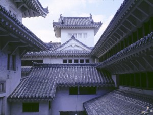 World Heritage Himeji Castle & Sake Brewery Walking Tour