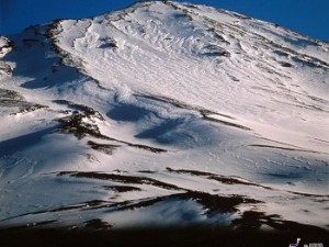 1-Day Mt. Fuji & Hakone Tour Return by Motorcoach
