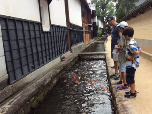 Hida Furukawa Town Walk from Takayama