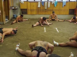 Tokyo Sumo Morning Practice Tour