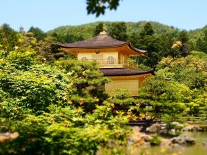 Kyoto Morning Tour