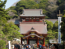 Zen Garden and Tea Ceremony