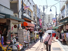 Yanaka Historical Walking Tour