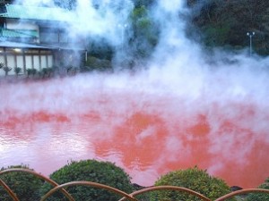 Beppu Half Day Sightseeing
