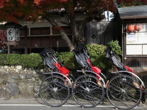 Sagano Bamboo Grove & Arashiyama Walking Tour