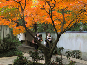 Zen Garden and Tea Ceremony