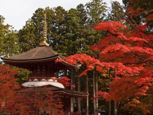 World Heritage Mt. Koya 2-Day Tour (Without Guide)