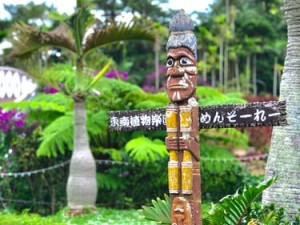 Okinawa Highlights - 7 Day Road Trip