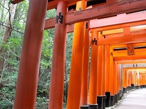 Kyoto Afternoon Tour