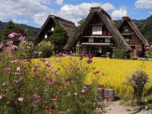 Gokayama Ainokura & Shirakawago Sightseeing Tour from Takayama