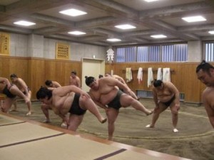 Sumo Training Tour