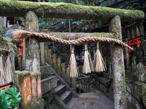 Fushimi Inari Hidden Hiking Tour