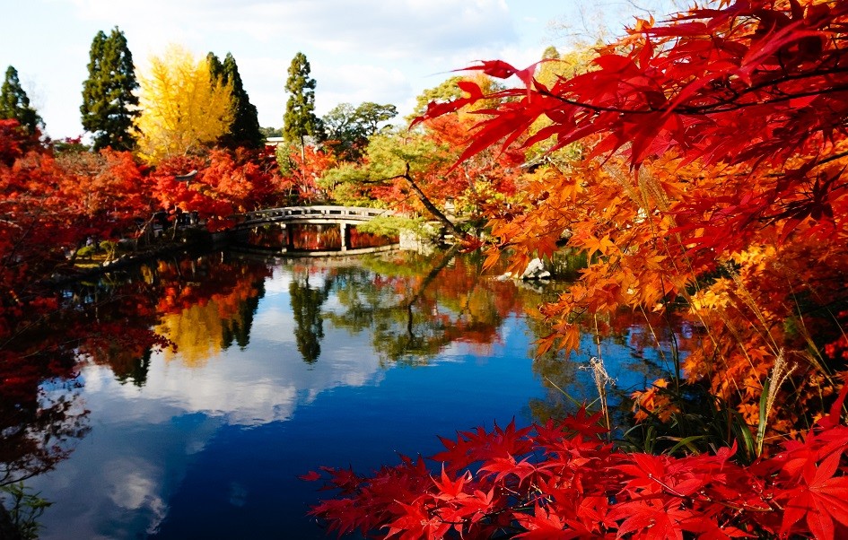 Kyoto Autumn Leaf Walking Tour
