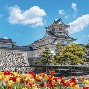Toyama (B, L)