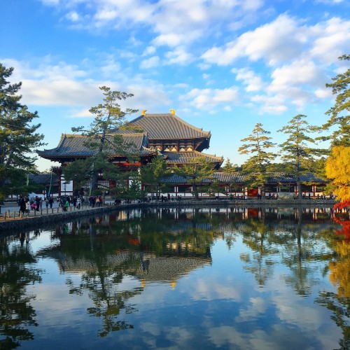 Kyoto Nara Kyoto