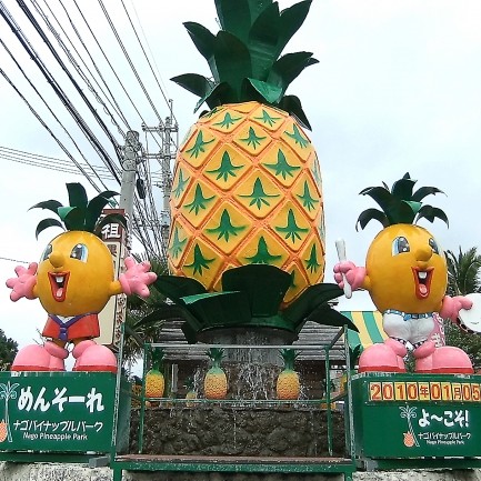 Motobu Peninsula  Nago  Naha Airport (Departure)