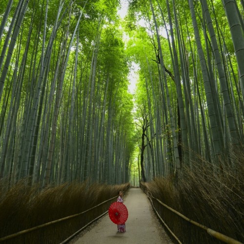 Kyoto