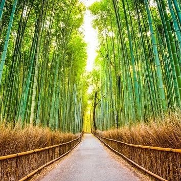 Kanazawa  Kyoto