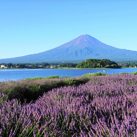 Tokyo - Yamanashi - Tokyo