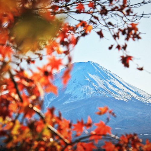 Tokyo  Mt.Fuji  Hakone