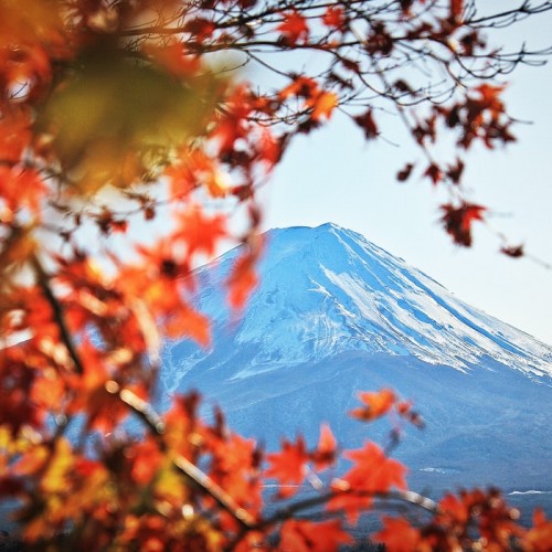 Tokyo Mt.Fuji Hakone