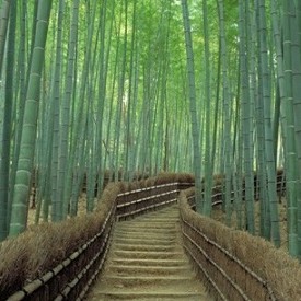 Kyoto