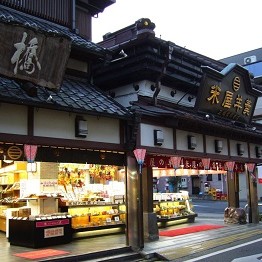 Tokyo - Narita - Tokyo