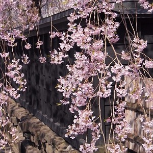 Morioka Kakunodate Morioka